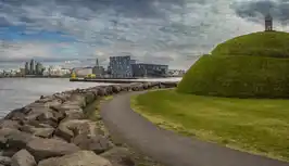 Þúfa flott - afrit.png