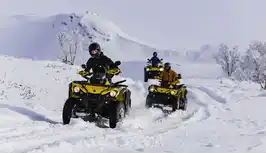 Safari Quads during winter