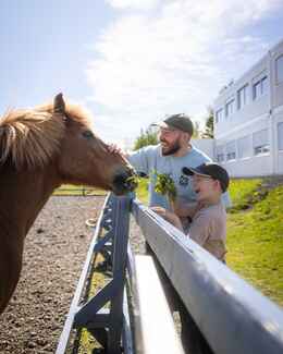 Laugardalur Family Park and Zoo in Reykjavík